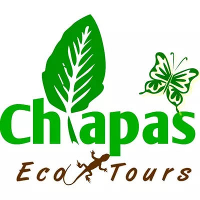 Chiapas Eco Tours en la Ruta del Tren Maya