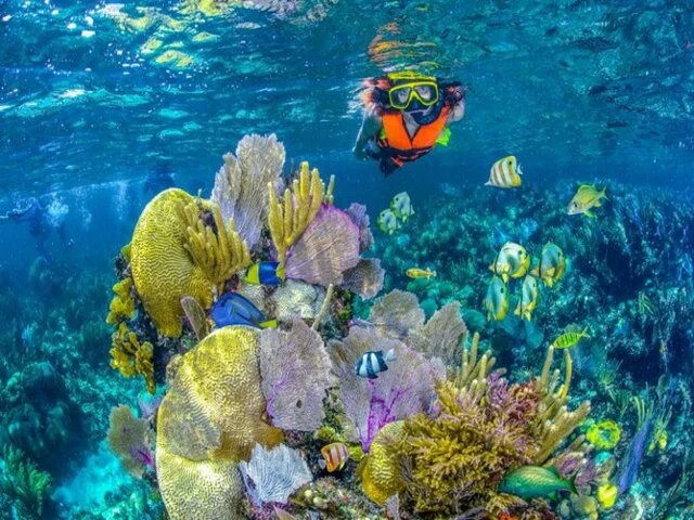 Visitar el parque nacional de Arrecifes