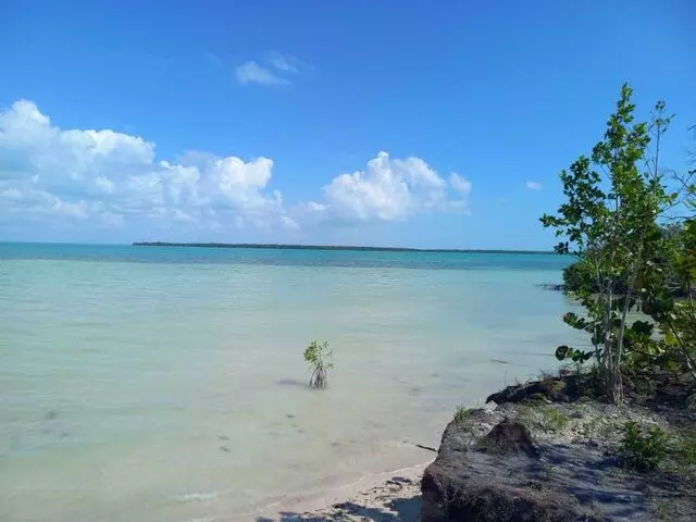 Playa Punta Lagarto
