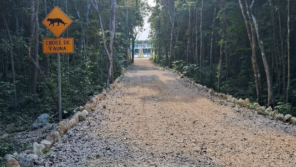 Sendero Maya Tulum Aeropuerto Tren Maya