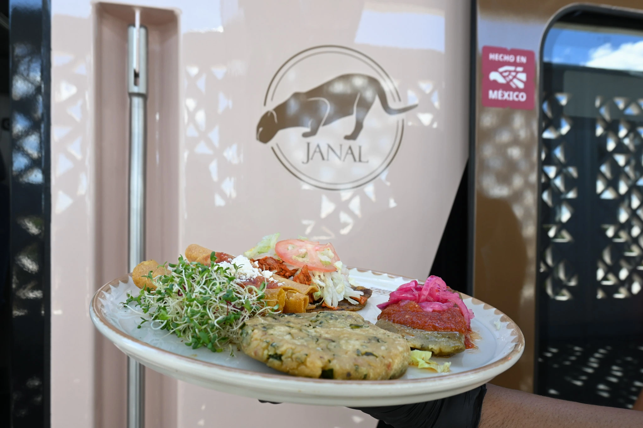 Plato de comida en Tren Maya